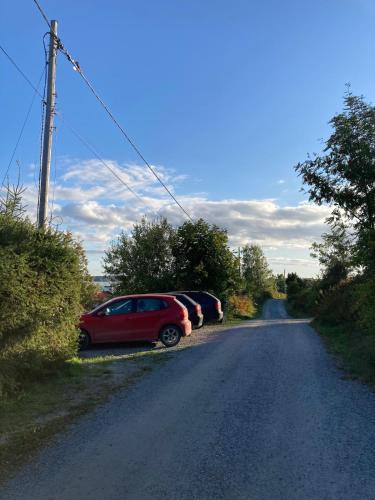 a row of cars parked on the side of a road at 2x Lake House's-Hot Tub-Stunning View-Private Pier in Smidö