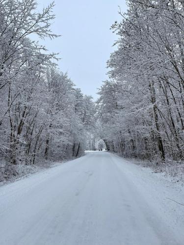 a road covered in snow with trees on it at 2x Lake House's-Hot Tub-Stunning View-Private Pier in Smidö