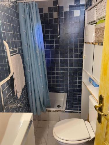 La salle de bains est pourvue de toilettes et d'une douche carrelée de bleu. dans l'établissement Appartement provençal cœur du village, à Mandelieu-la-Napoule