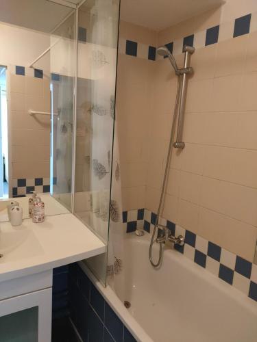 une salle de bain avec douche et lavabo dans l'établissement La Défense, Cozy Appartment 2 rooms, à Courbevoie