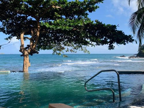 a swimming pool with a tree and the ocean at Secreto Frente Al Mar in Cacique