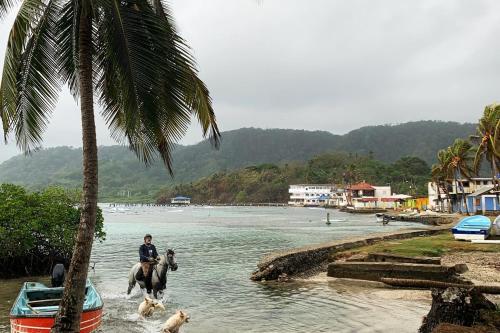 a person riding a horse in the water near a palm tree at Secreto Frente Al Mar in Cacique