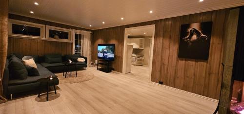 a living room with a couch and a tv at Sjoaasen in Hjartdal