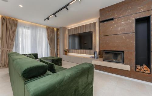 a living room with a green couch and a fireplace at Amazing Home In Biograd Na Moru in Biograd na Moru