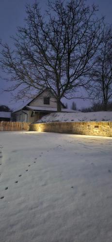 a tree in front of a house with snow on the ground at RIGLI vendégház in Závod