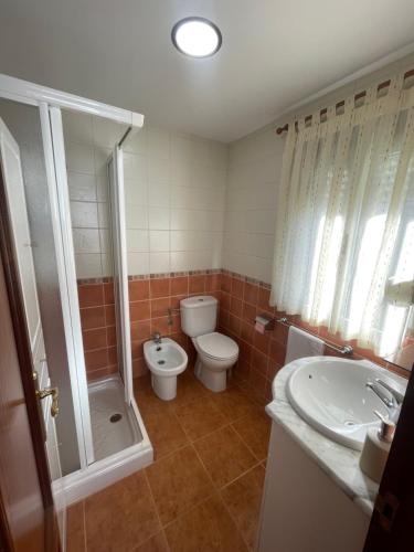 a bathroom with a toilet and a shower and a sink at Casa da Greta in Parada del Monte