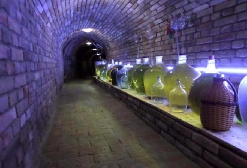 a row of glass bottles sitting on a shelf in a tunnel at Privat Bohemia in Šatov