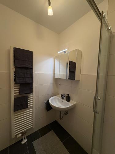a white bathroom with a sink and a shower at Modernes Serviced Apartment Wohnglück 2 in Ansbach