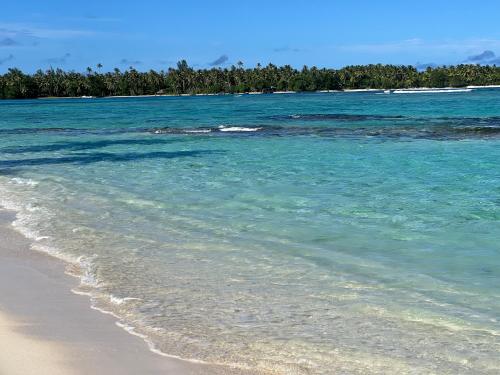PareaにあるParea Lodge Huahine Bungalow 3#Ava'eの青い水と木々が背景に広がる海岸