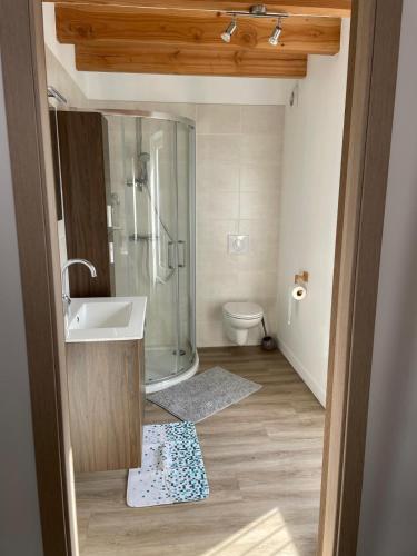 a bathroom with a shower and a sink and a toilet at La Maison de Georgette in Versols-et-Lapeyre