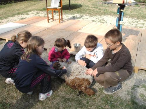 a group of children are petting a sheep at Gedeon Tanya Panzió in Jakabszállás