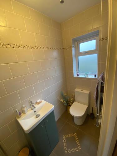 een badkamer met een wastafel en een toilet bij Corrig View in Killenard