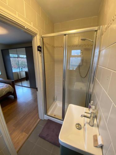 een badkamer met een douche en een wastafel bij Corrig View in Killenard