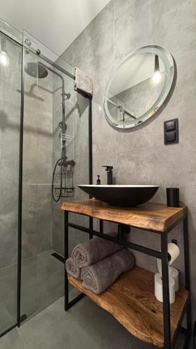 une salle de bain avec un lavabo et une douche avec un miroir dans l'établissement Willa Rodzinna, à Wisła
