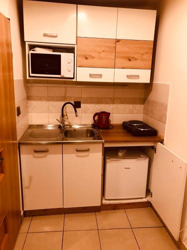 a small kitchen with a sink and a microwave at Penzion Iris in Albrechtice