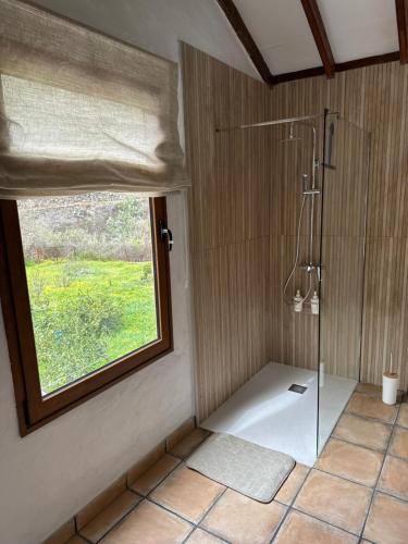 a bathroom with a shower with a glass door at Casa Rural Ruta del Tajinaste azul in Valsequillo