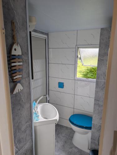 une petite salle de bain avec toilettes et lavabo dans l'établissement Mobil-home entre terre et mer, aux Loges