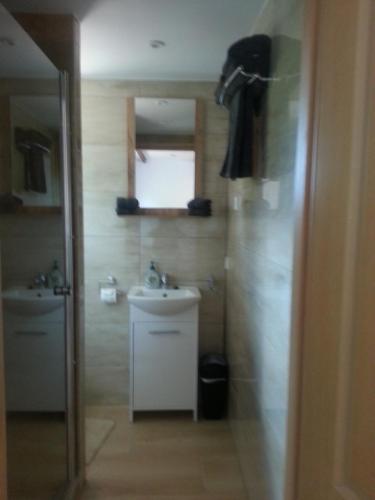 a bathroom with a sink and a mirror at Domki w Zacisznej Zagrodzie in Jerzykowice