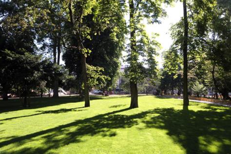 Vonkajšia záhrada v ubytovaní Jolie appartement
