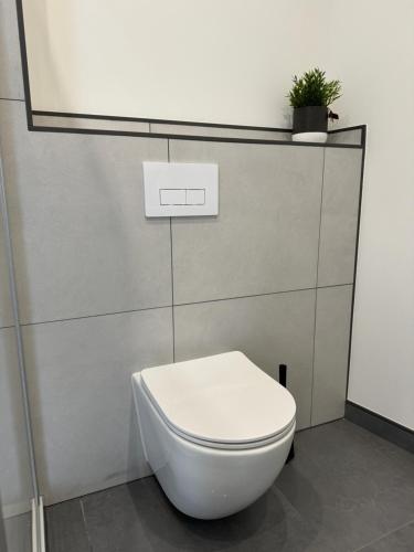 a white toilet in a bathroom with a plant at Edersee-Apartment in Waldeck