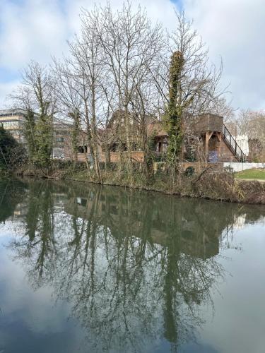 a house sitting on the side of a river at Maison de l'Aar Appartement le Diamant luxueux et neuf 2 chambres Grand Salon Séjour in Strasbourg
