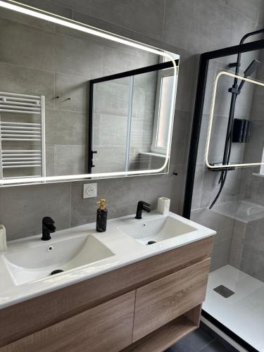 une salle de bain avec un lavabo blanc et un miroir dans l'établissement Maison de l'Aar Appartement le Diamant luxueux et cosy neuf, à Strasbourg