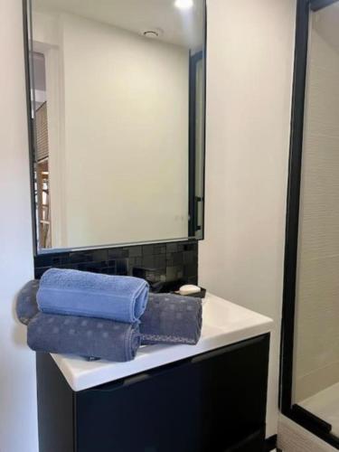 - une salle de bains avec 2 serviettes bleues assises sur un lavabo dans l'établissement Studio de charme au centre de Montpellier!, à Montpellier