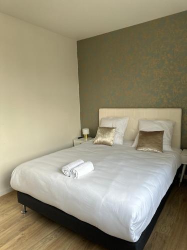 un grand lit blanc avec deux oreillers dessus dans l'établissement Maison de l'Aar Appartement Le Rubis luxueux et cosy neuf, à Strasbourg