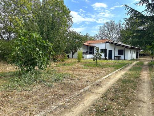 Κήπος έξω από το The Hidden Ranch