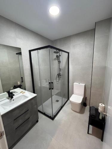 une salle de bain avec une douche, un lavabo et des toilettes dans l'établissement Apartamentos Trastamara, à Séville