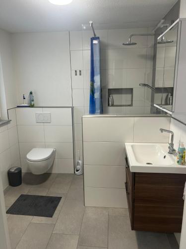 a white bathroom with a toilet and a sink at Ferienwohnung Sonnenblick in Hilzingen