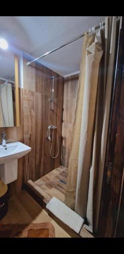 a bathroom with a shower and a sink at Pensiunea Rustic Oncesti in Onceşti