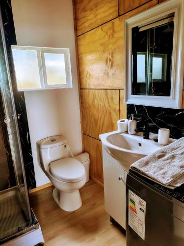 a bathroom with a toilet and a sink at Cabaña vista al mar in Castro