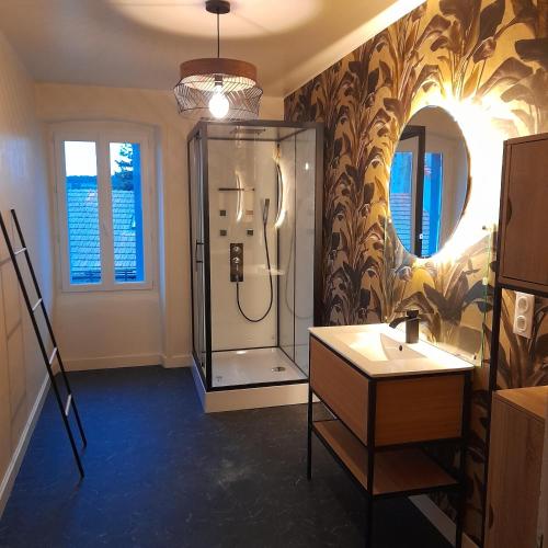 La salle de bains est pourvue d'une douche et d'un miroir. dans l'établissement Ils en ont rêvé, à Chambon-le-Château