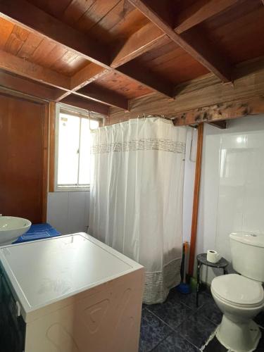 a bathroom with a toilet and a sink at Baguales Patagonia in Puerto Cisnes