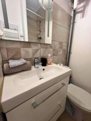 une salle de bain avec un lavabo blanc et des toilettes dans l'établissement Studio bohème au coeur de Montpellier!, à Montpellier