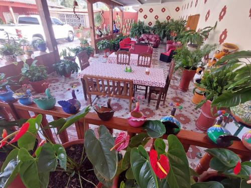 a room with a table and potted plants at Quinta Rubi in Las Rosas