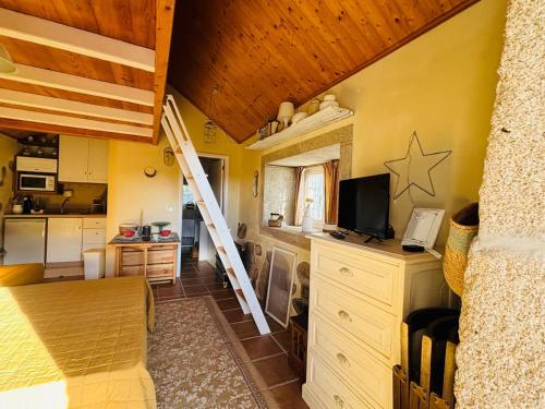 a room with a loft bed and a kitchen at Serra da Freita Concept House in Parameira