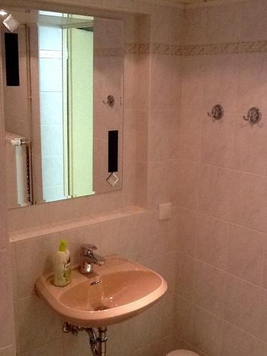a bathroom with a sink and a mirror at Ferienhaus Günther in Aue