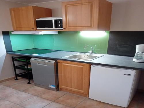 Apartment Termignon ski-in ski-out access