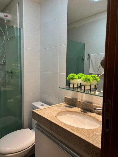 a bathroom with a sink and a toilet and a mirror at Flat Rosarinho II - Confortável e Super Completo in Recife