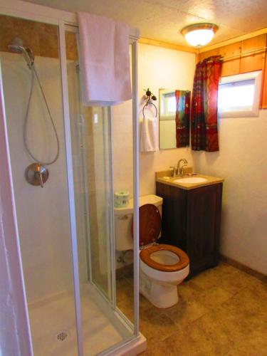 a bathroom with a shower and a toilet and a sink at Chinook Winds Lodge in Dubois