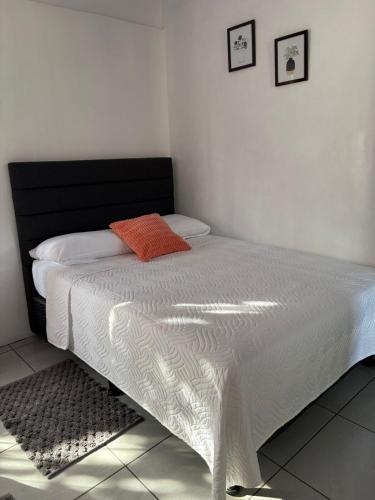 a bed with a black and white comforter on it at Casa Celeste Río Grande in Paquera