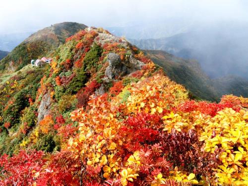 Gallery image of Pension Come Relaxing Western-style room- Vacation STAY 14977 in Minami Uonuma