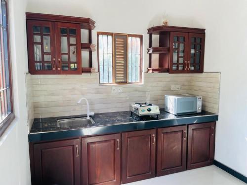 Η κουζίνα ή μικρή κουζίνα στο 2 Swans Apartment Eluketiya