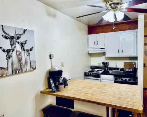 - une cuisine avec un comptoir et un ventilateur de plafond dans l'établissement Inside Yosemite Park-Cozy Corner Unit-Sleeps 2, à Yosemite West