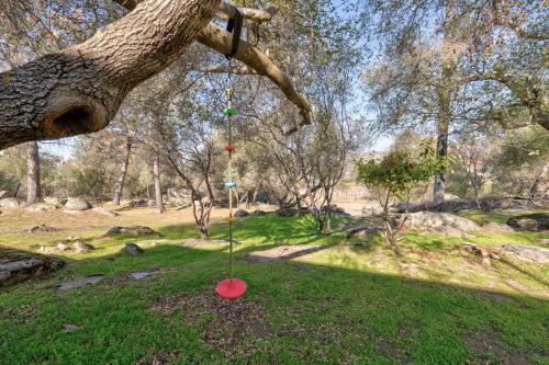 a red object in the grass under a tree at Rocky Ridge Cabin Yosemite in Coarsegold