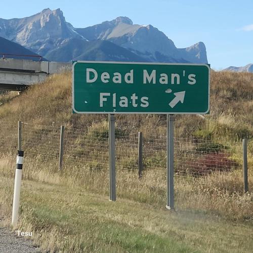 a green street sign on the side of the road at Cozy Cove Retreat Escape to Tranquility Stay in Simplicity in Dead Man's Flats
