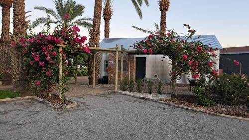 a garden with pink flowers on a fence and palm trees at Gazelle Estate in Kakamas