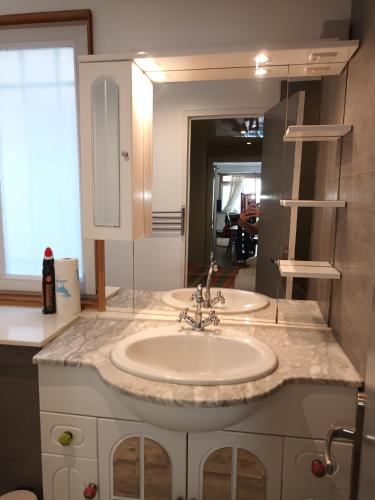 une salle de bain avec un lavabo et un grand miroir dans l'établissement Appartement avec terrasse a deux pas des thermes, à Bourbon-lʼArchambault